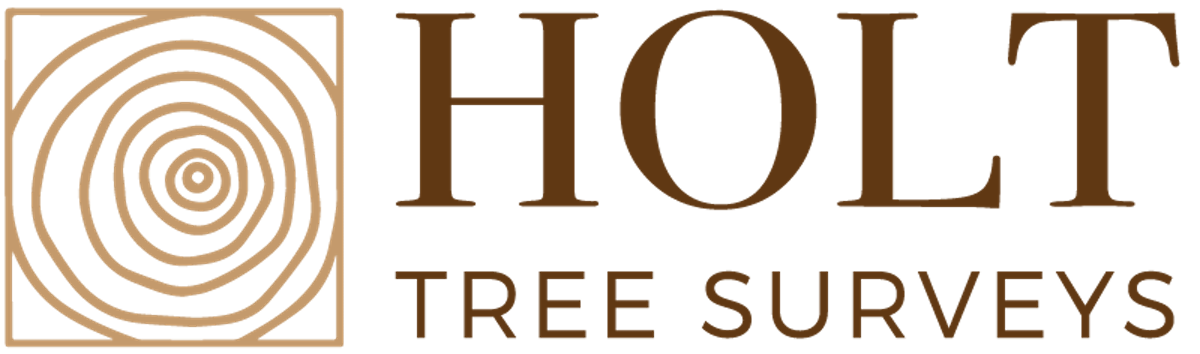 Holt Tree Surveys